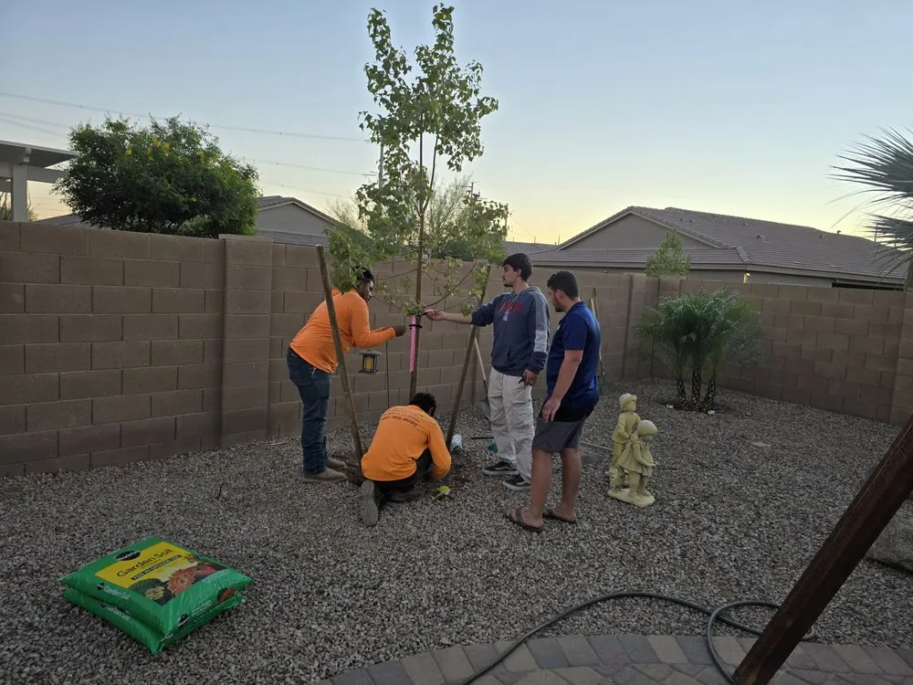 Top-rated residential landscaping experts serving Mesa, AZ - Newton Landscaping & Masonry