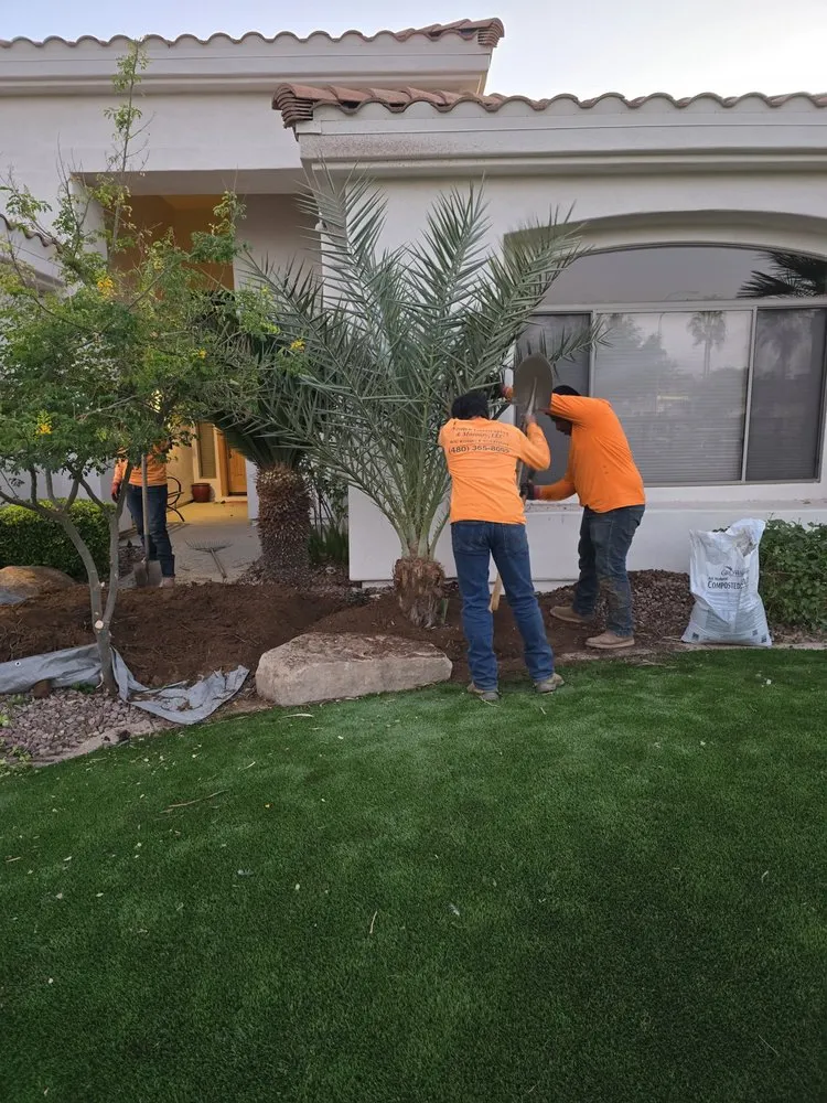 Affordable residential landscaping in Mesa, AZ by Newton Landscaping & Masonry