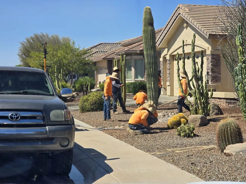 Expert garden landscaping with custom design in Mesa, AZ by Newton Landscaping & Masonry