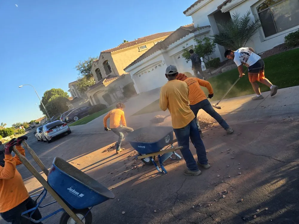 Top-rated yard cleanup service experts serving Mesa, AZ - Newton Landscaping & Masonry