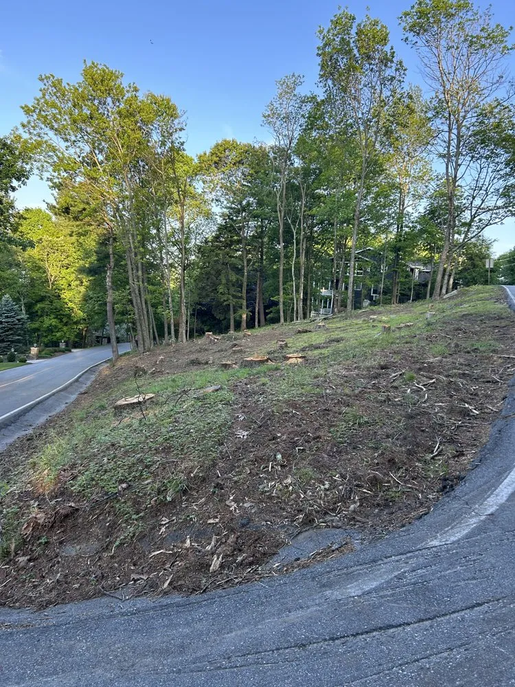 Reliable lawn mowing service in Hickory, NC - Newton Stump Grinding