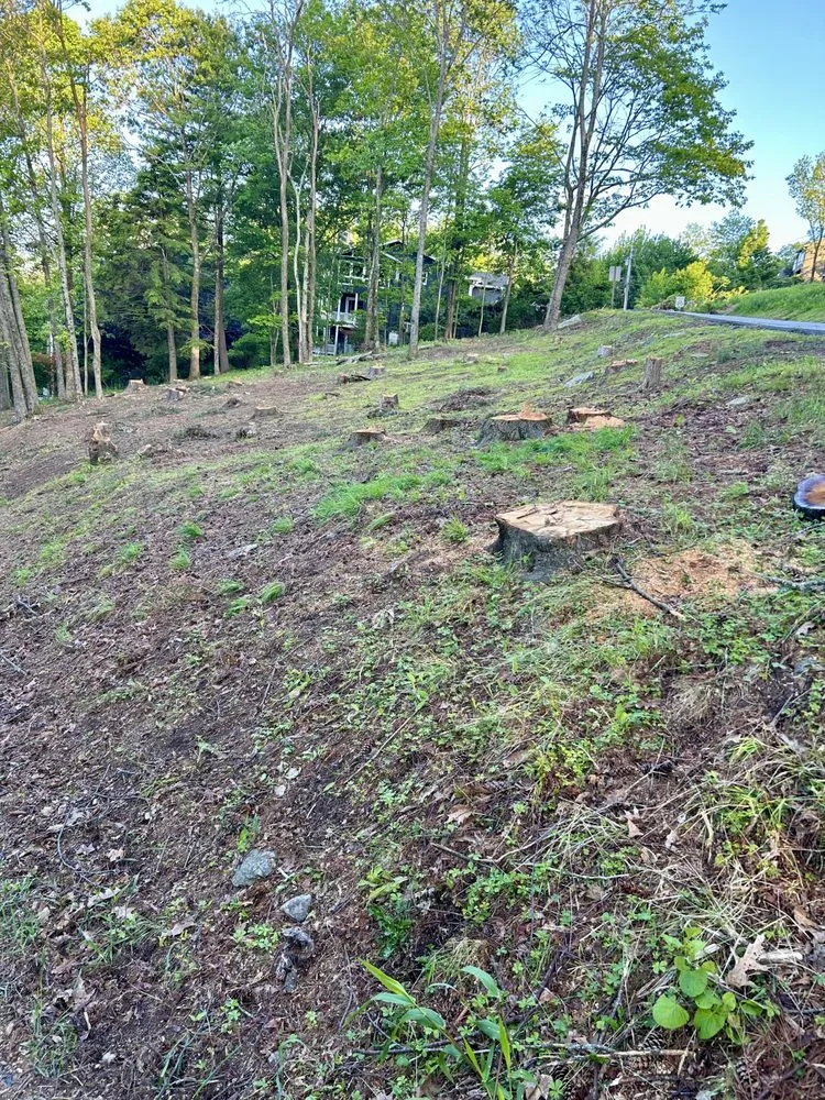 Expert lawn care service for residential properties in Hickory, NC by Newton Stump Grinding