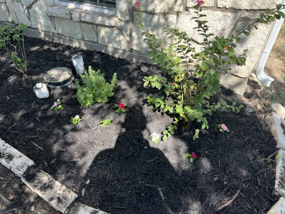 Top-rated landscaping services experts serving Fort Worth, TX - Newvision Landscaping