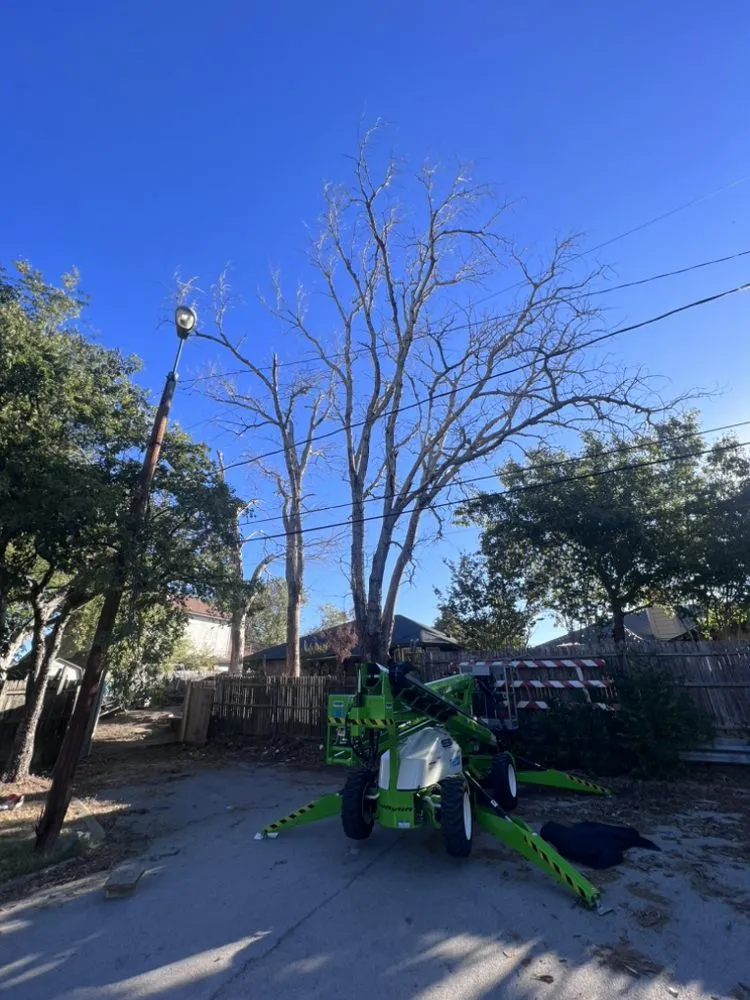 Expert landscaping services for year-round maintenance across Fort Worth, TX - Newvision Landscaping