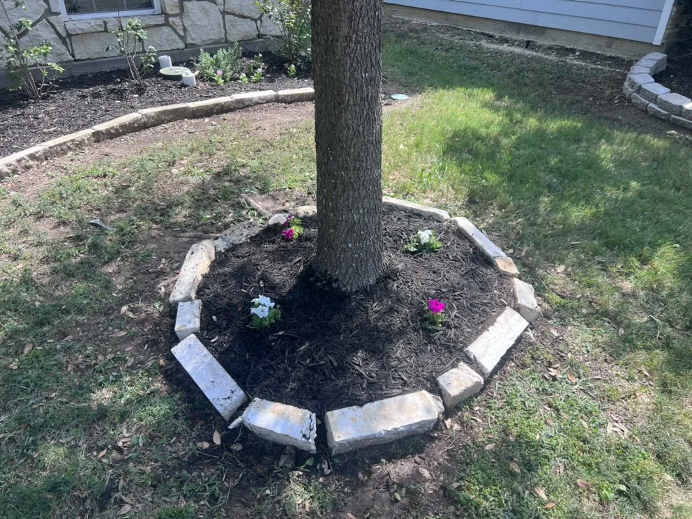 Affordable yard cleanup service with custom design in Fort Worth, TX by Newvision Landscaping