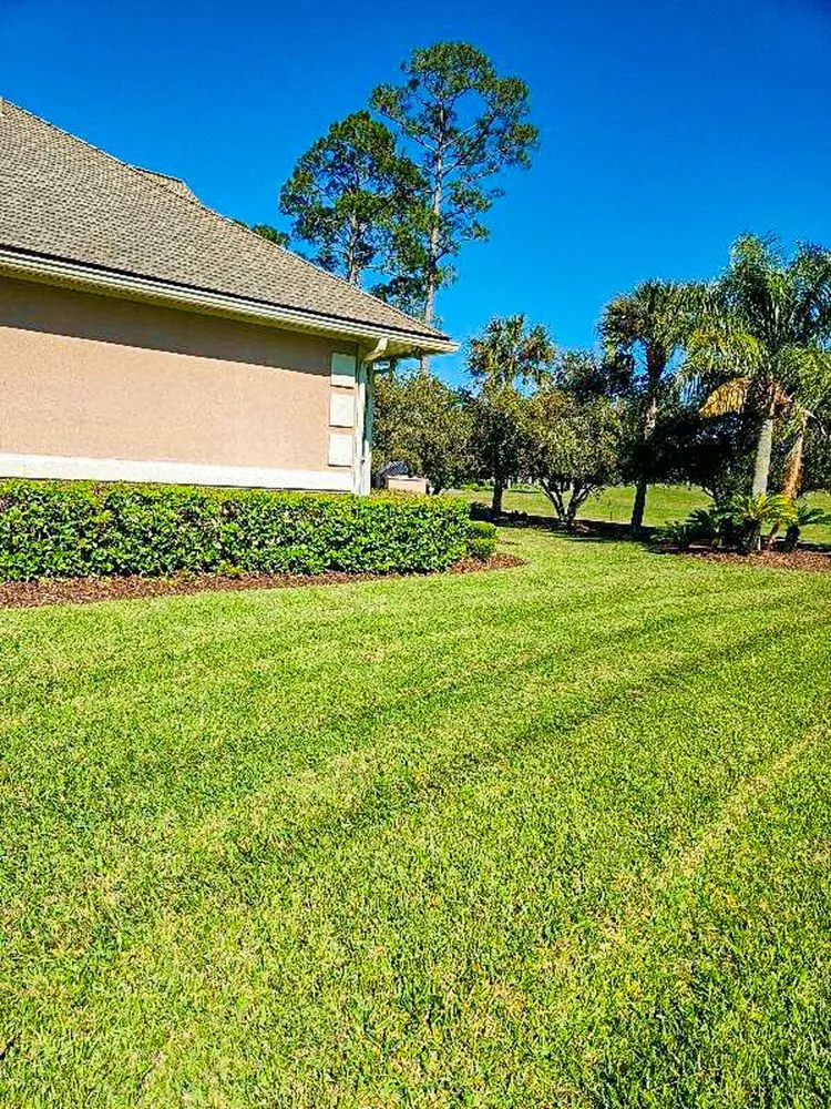 Affordable yard maintenance in Jacksonville, FL by Nex Gen Lawn Care