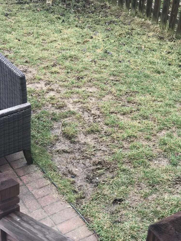 Expert outdoor landscaping in Columbus, OH by NexGreen Lawn and Tree Care