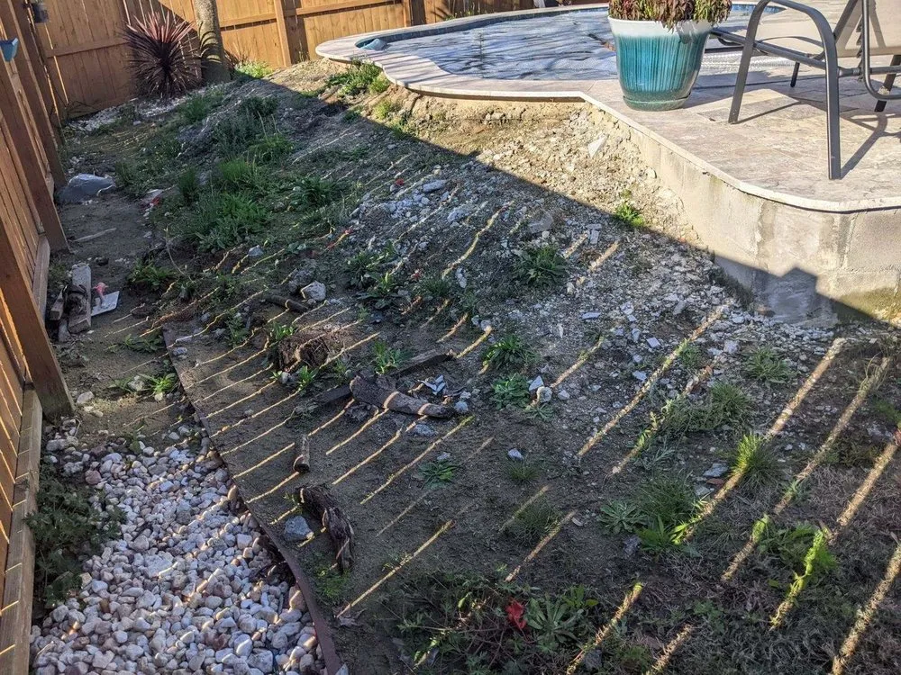 Expert yard maintenance for outdoor upgrades in Moncks Corner, SC by Nexlevel Ground Pros