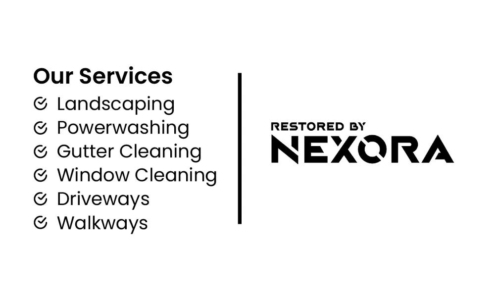 Professional residential landscaping in Morton Grove, IL - Nexora Power Washing & Landscaping Services