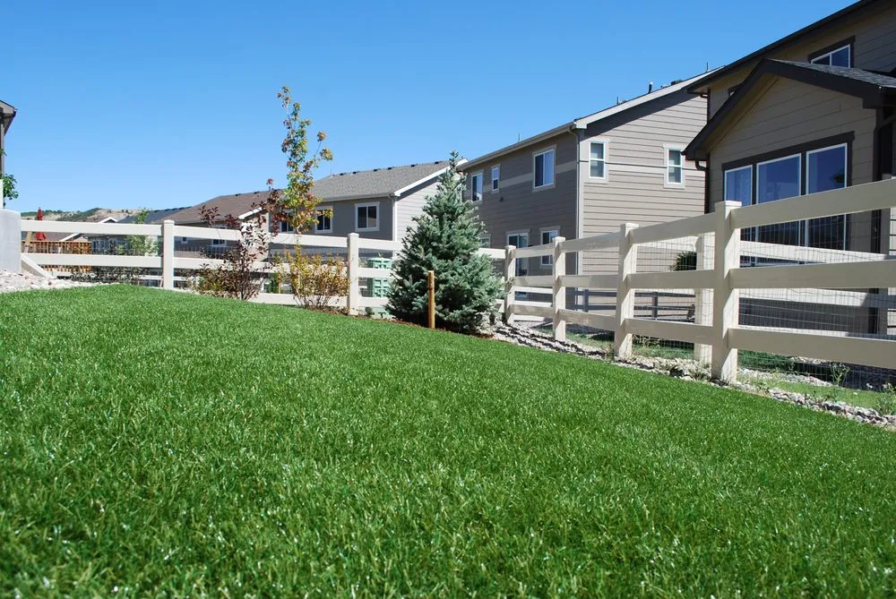 Local lawn care service in Denver, CO by Next 2 Natural Turf