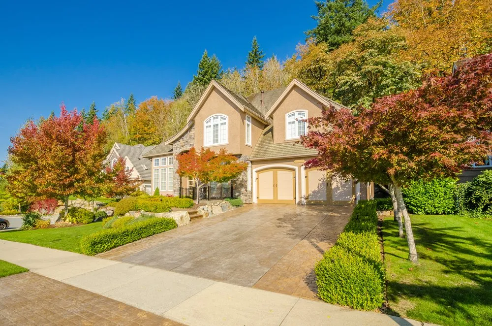 Top-rated yard maintenance for year-round maintenance in Denver, CO by Next 2 Natural Turf