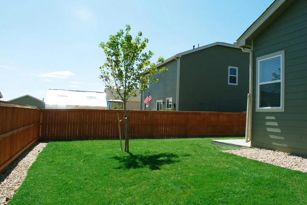 Custom lawn mowing service for year-round maintenance in Denver, CO by Next 2 Natural Turf