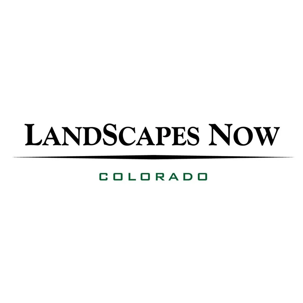 Trusted lawn mowing service for homes in Denver, CO by Next 2 Natural Turf