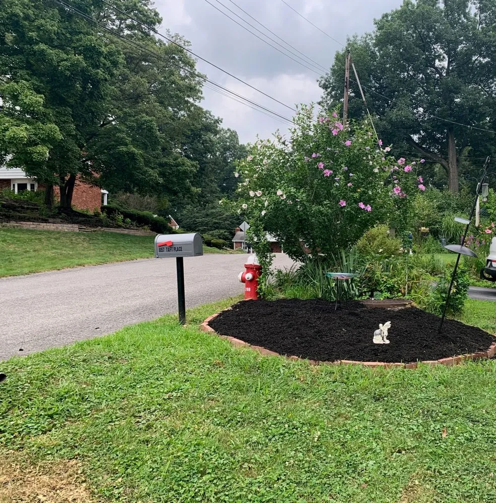 Custom yard cleanup service in Glenshaw, PA by Next Best Thing Landscaping