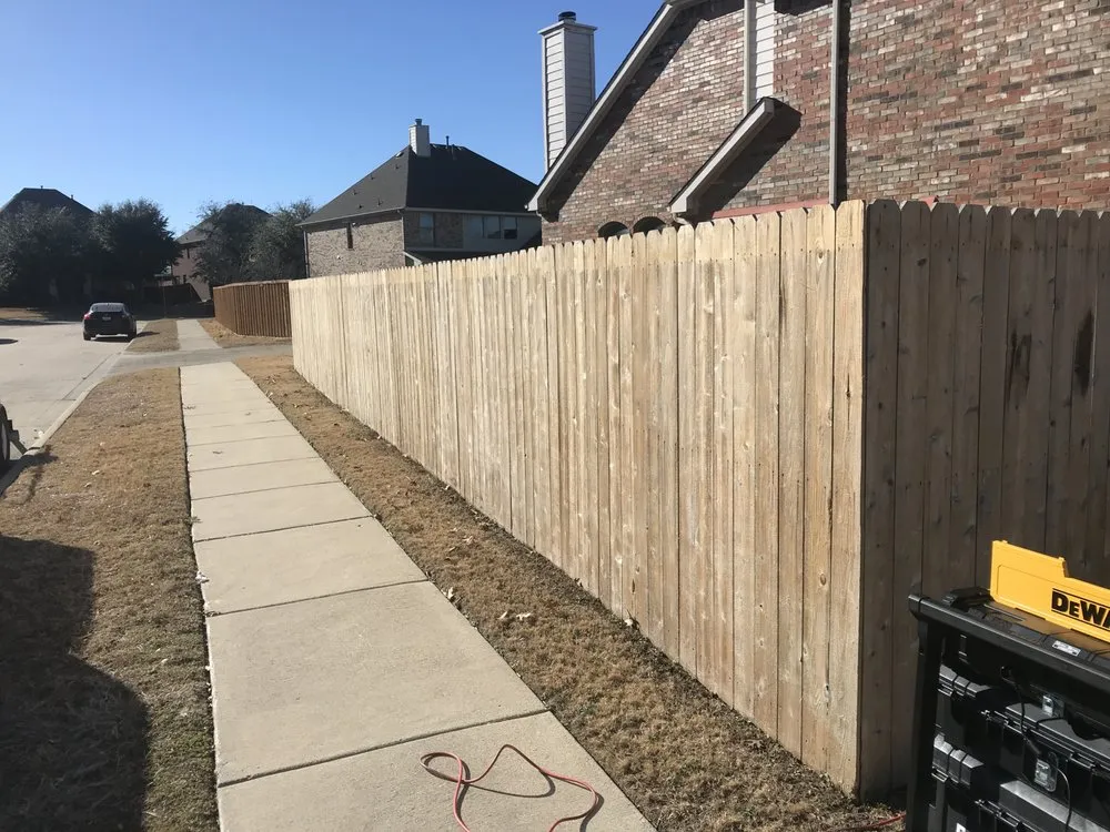 Top-rated landscaping services for year-round maintenance across Frisco, TX - Next Century