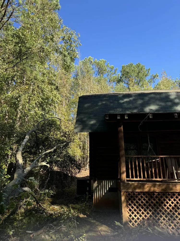 Affordable yard cleanup service experts serving Greer, SC - Next Gen Land Service