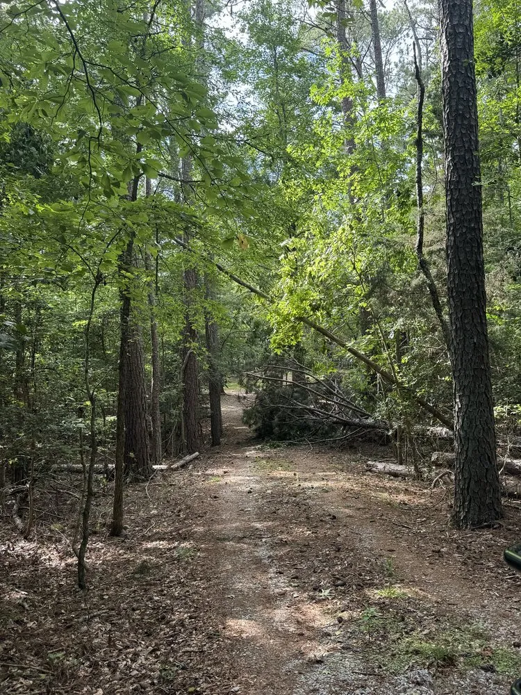 Trusted landscape design in Greer, SC - Next Gen Land Service