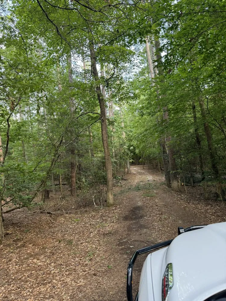 Trusted landscaping services for beautiful yards in Greer, SC by Next Gen Land Service