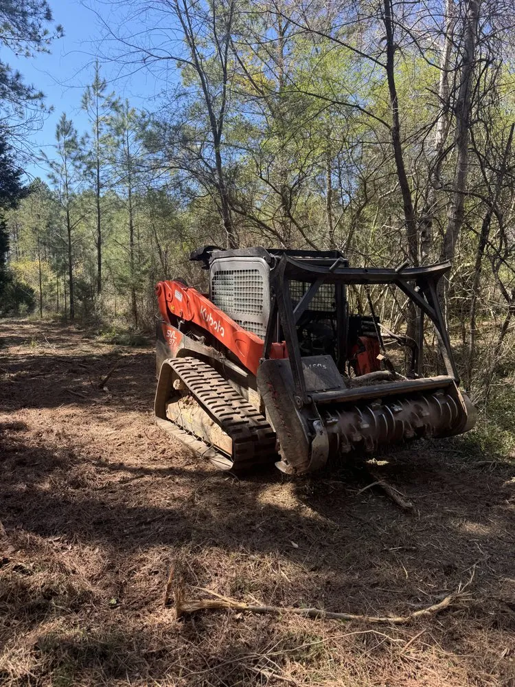 Professional landscaping services for outdoor upgrades across Greer, SC - Next Gen Land Service