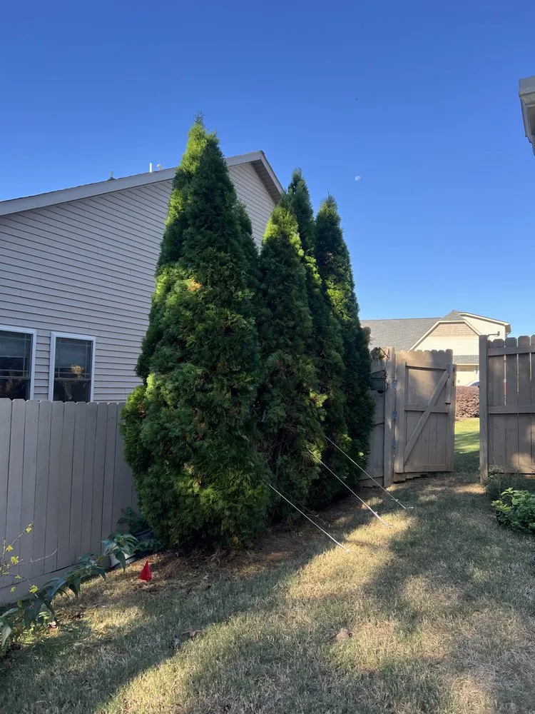 Expert residential landscaping in Greer, SC by Next Gen Land Service