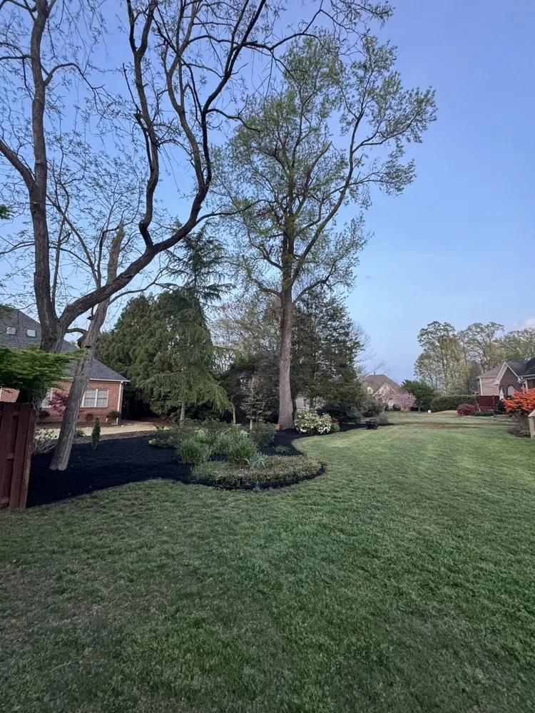 Expert landscaping services in Greer, SC by Next Gen Land Service