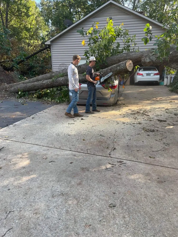 Custom lawn care service for residential properties across Greer, SC - Next Gen Land Service