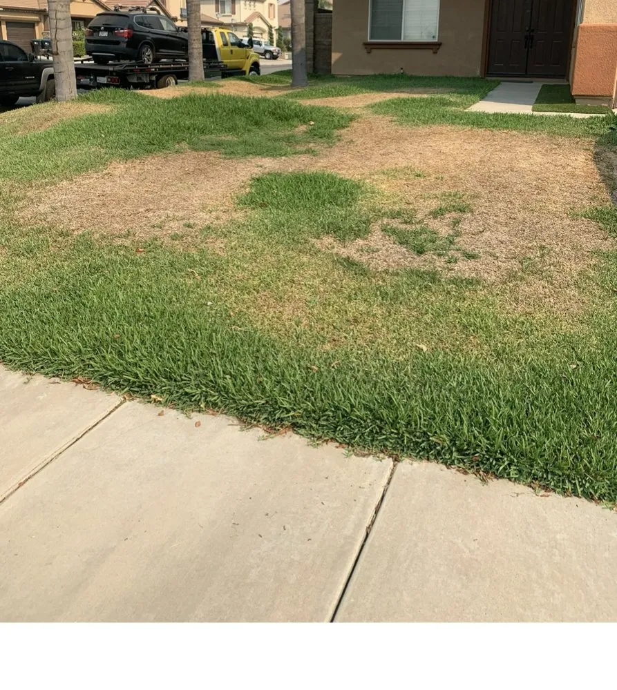 Professional lawn mowing service for residential properties across Hesperia, CA - Next Gen landcare