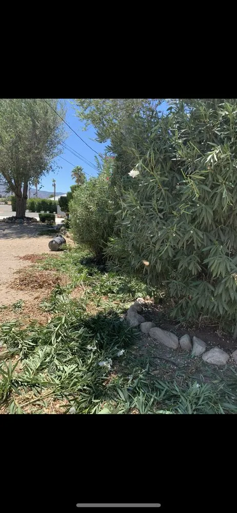 Custom landscaping services for residential properties across Hesperia, CA - Next Gen landcare