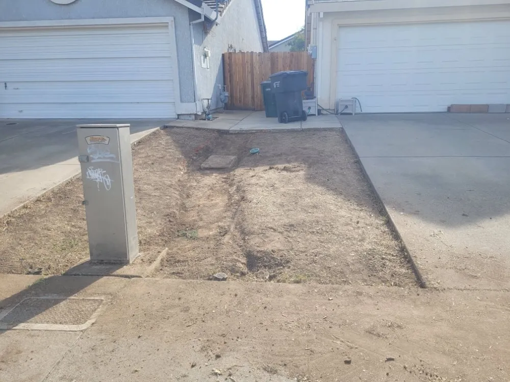 Custom lawn care service in Sacramento, CA by Next Gen Landscape