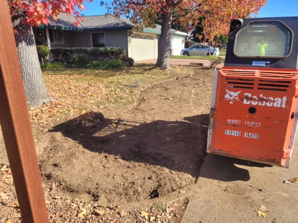 Trusted landscape design in Sacramento, CA - Next Gen Landscape