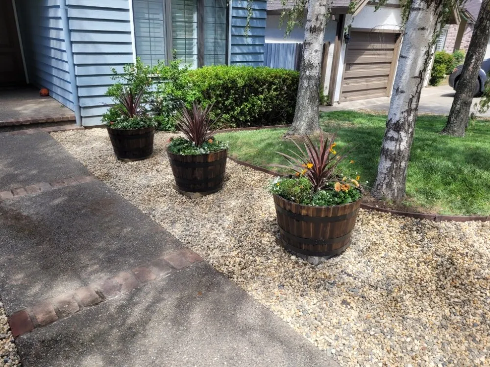 Expert residential landscaping in Sacramento, CA by Next Gen Landscape