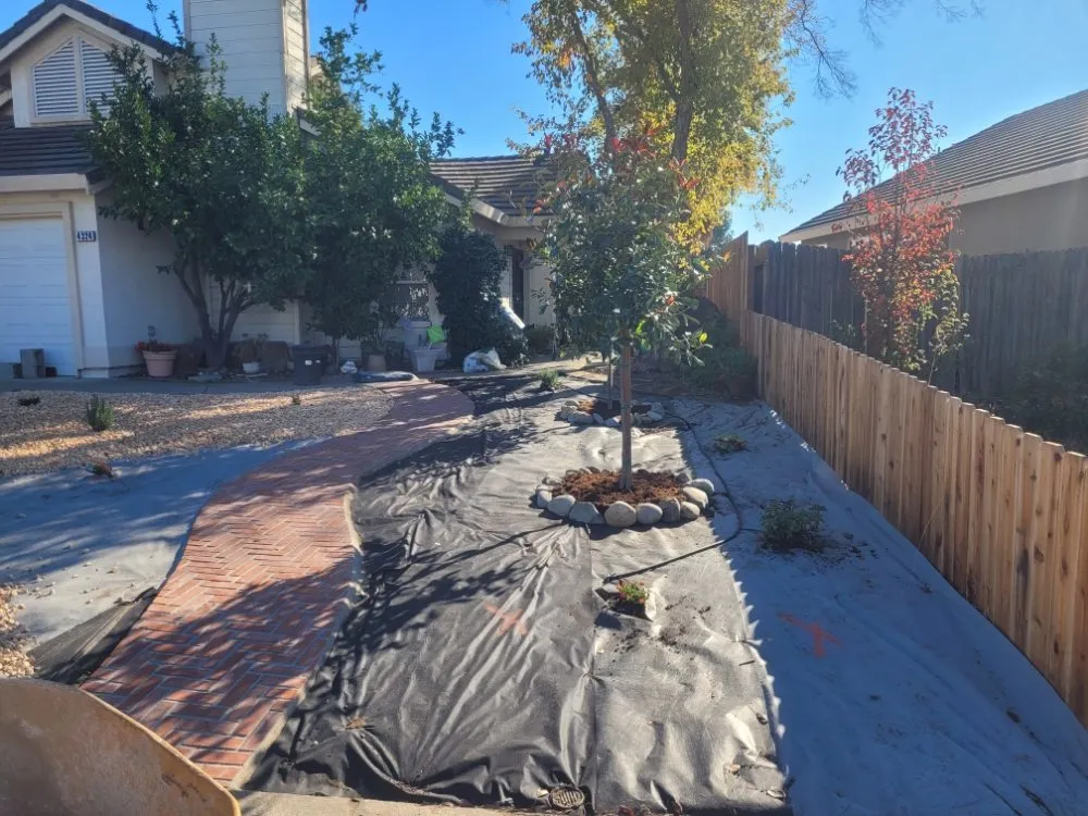 Top-rated lawn care service in Sacramento, CA - Next Gen Landscape