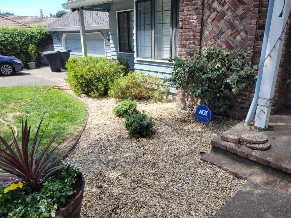 Affordable yard cleanup service with custom design in Sacramento, CA by Next Gen Landscape