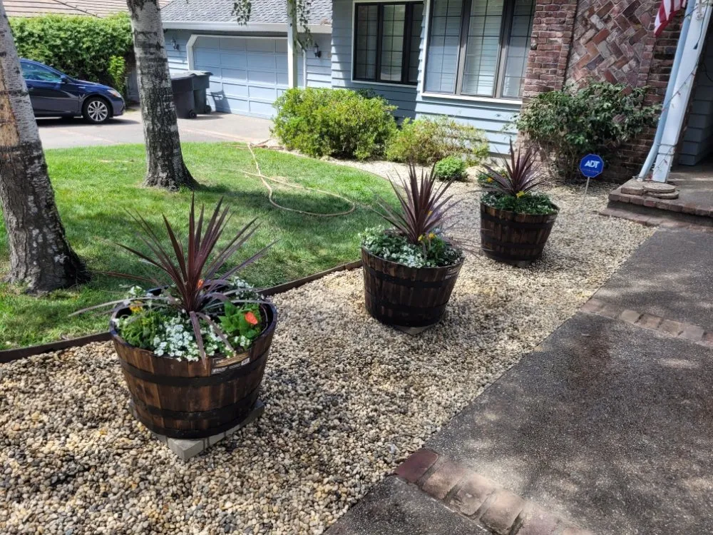 Reliable lawn mowing service experts serving Sacramento, CA - Next Gen Landscape