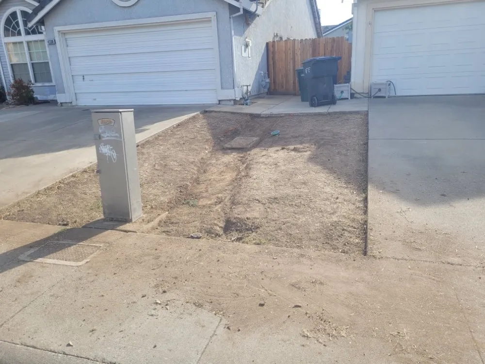 Top-rated outdoor landscaping experts serving Sacramento, CA - Next Gen Landscape