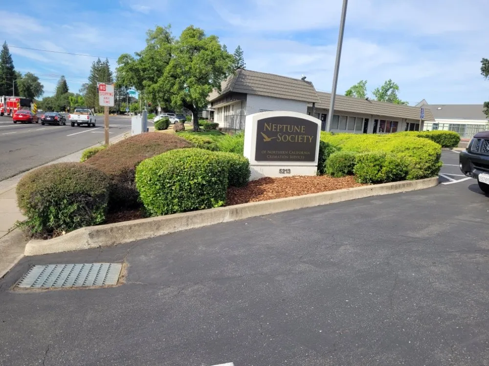 Reliable yard cleanup service for outdoor upgrades across Sacramento, CA - Next Gen Landscape