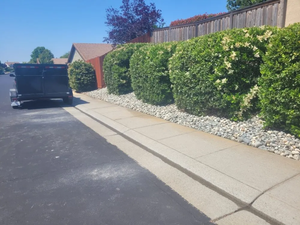 Affordable landscape installation in Sacramento, CA - Next Gen Landscape