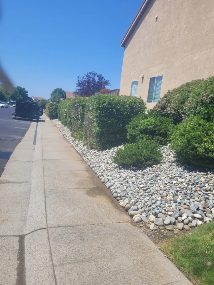 Trusted yard cleanup service in Sacramento, CA by Next Gen Landscape