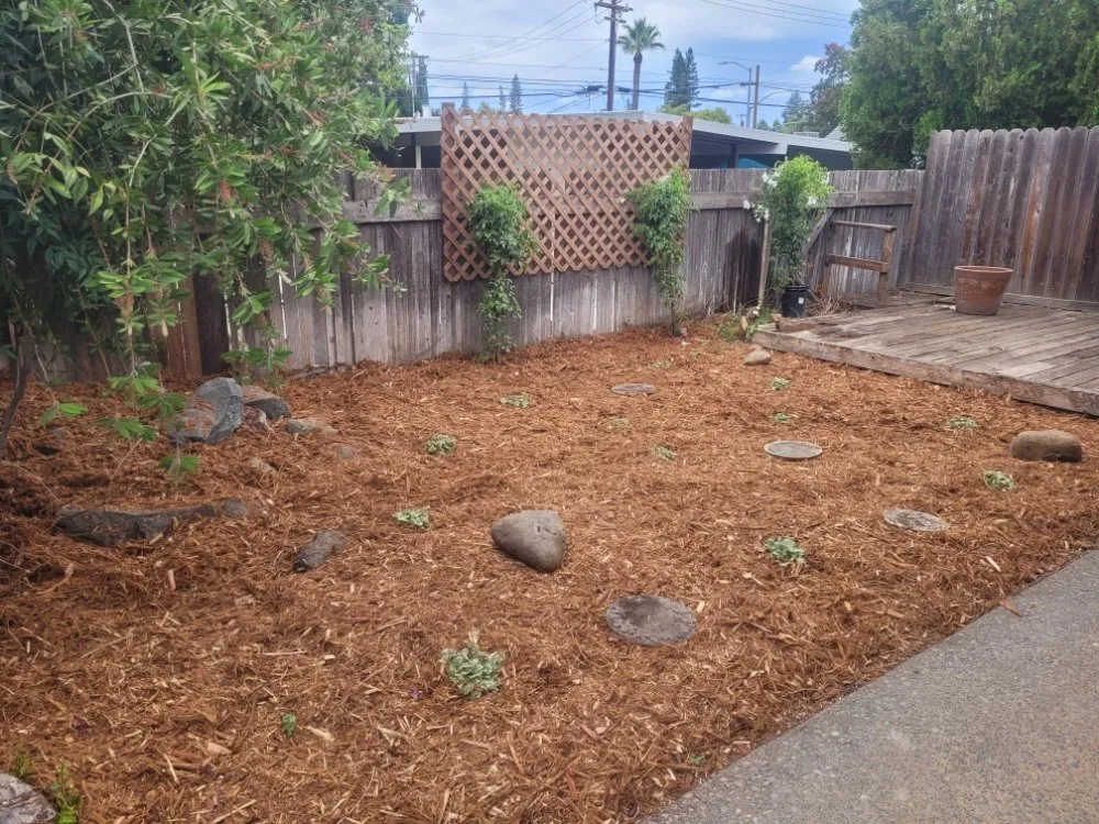 Expert outdoor landscaping in Sacramento, CA by Next Gen Landscape
