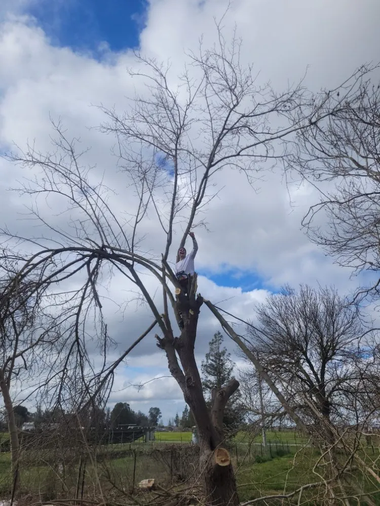 Custom landscape installation near you in Sacramento, CA by Next Gen Landscape