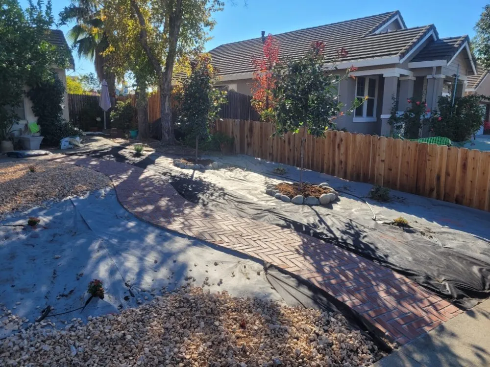 Trusted residential landscaping in Sacramento, CA - Next Gen Landscape