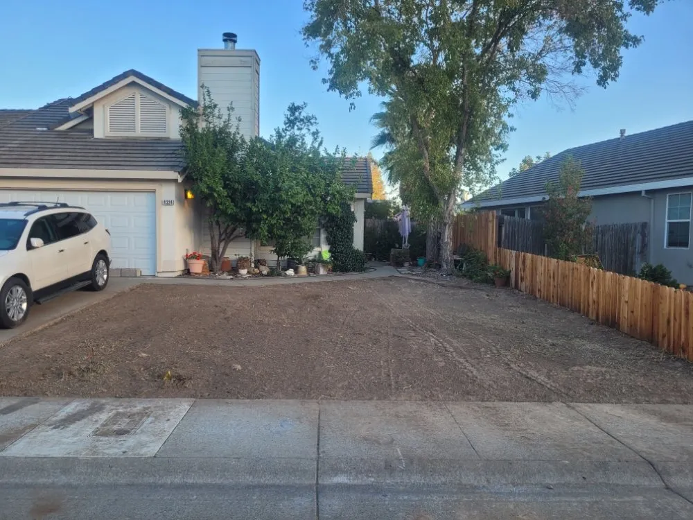 Custom lawn care service in Sacramento, CA by Next Gen Landscape