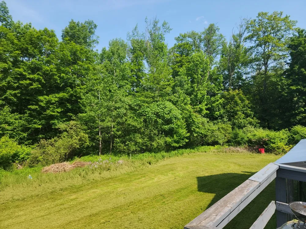 Top-rated landscape installation for beautiful yards across Bloomingburg, NY - Next Generation Maintenance & Property Management