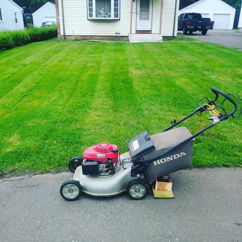 Top-rated landscaping services for year-round maintenance in Euharlee, GA by Next Generation Service