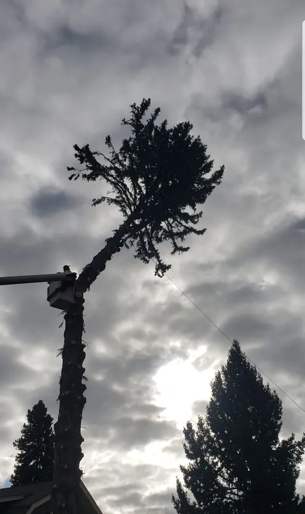 Local yard maintenance experts serving Butte, MT - Next Generation Services