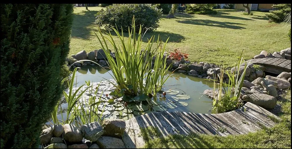 Affordable landscaping services for beautiful yards across Butte, MT - Next Generation Services