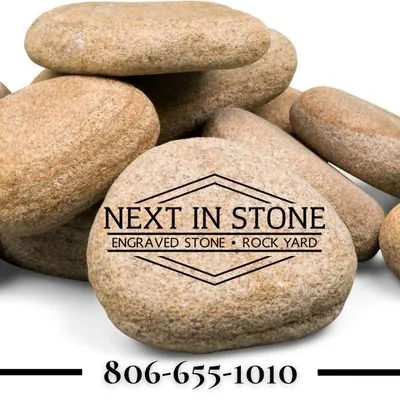 Next In Stone Logo