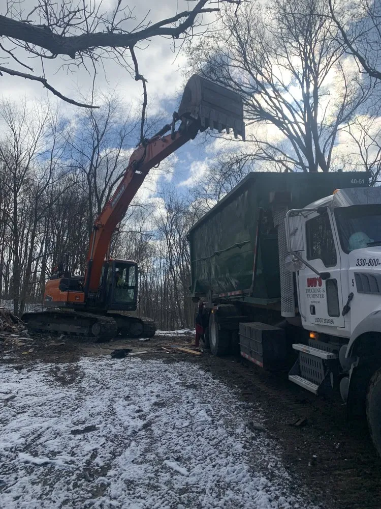 Affordable yard cleanup service experts serving Akron, OH - Next level