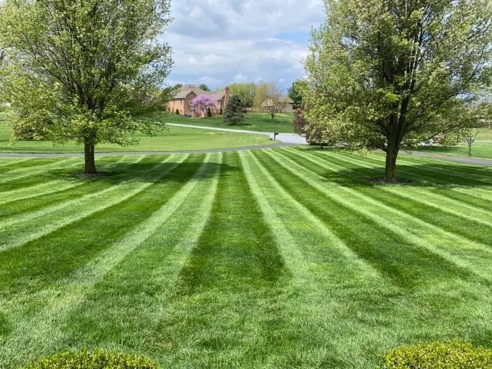 Trusted landscape design in Akron, OH by Next level