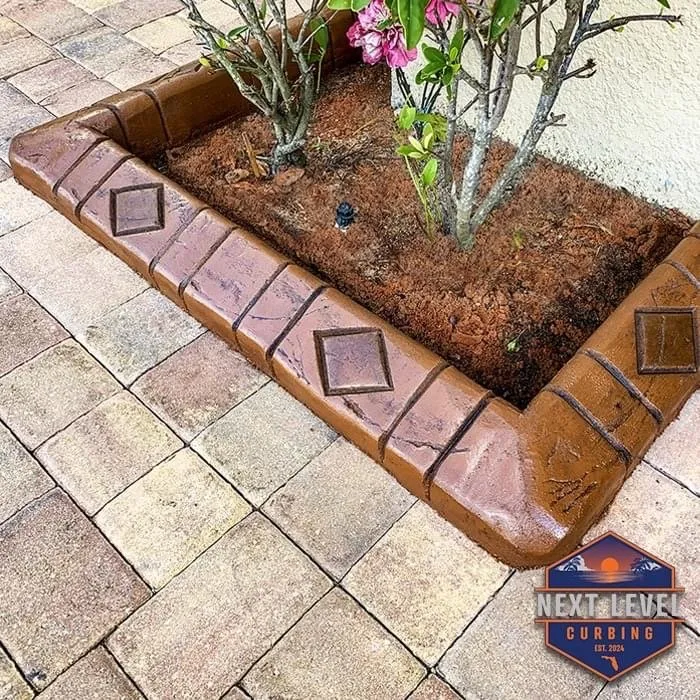 Top-rated yard maintenance in Groveland, FL by Next level curbing